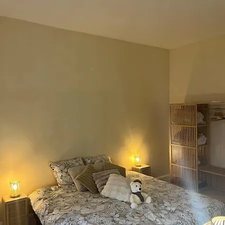 Apartment Cosy A 200 Metres Des Thermes Vittel